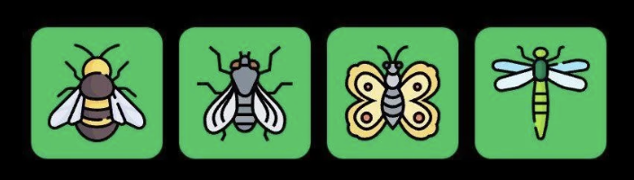 FLIES Daily Combo 28 June 2025